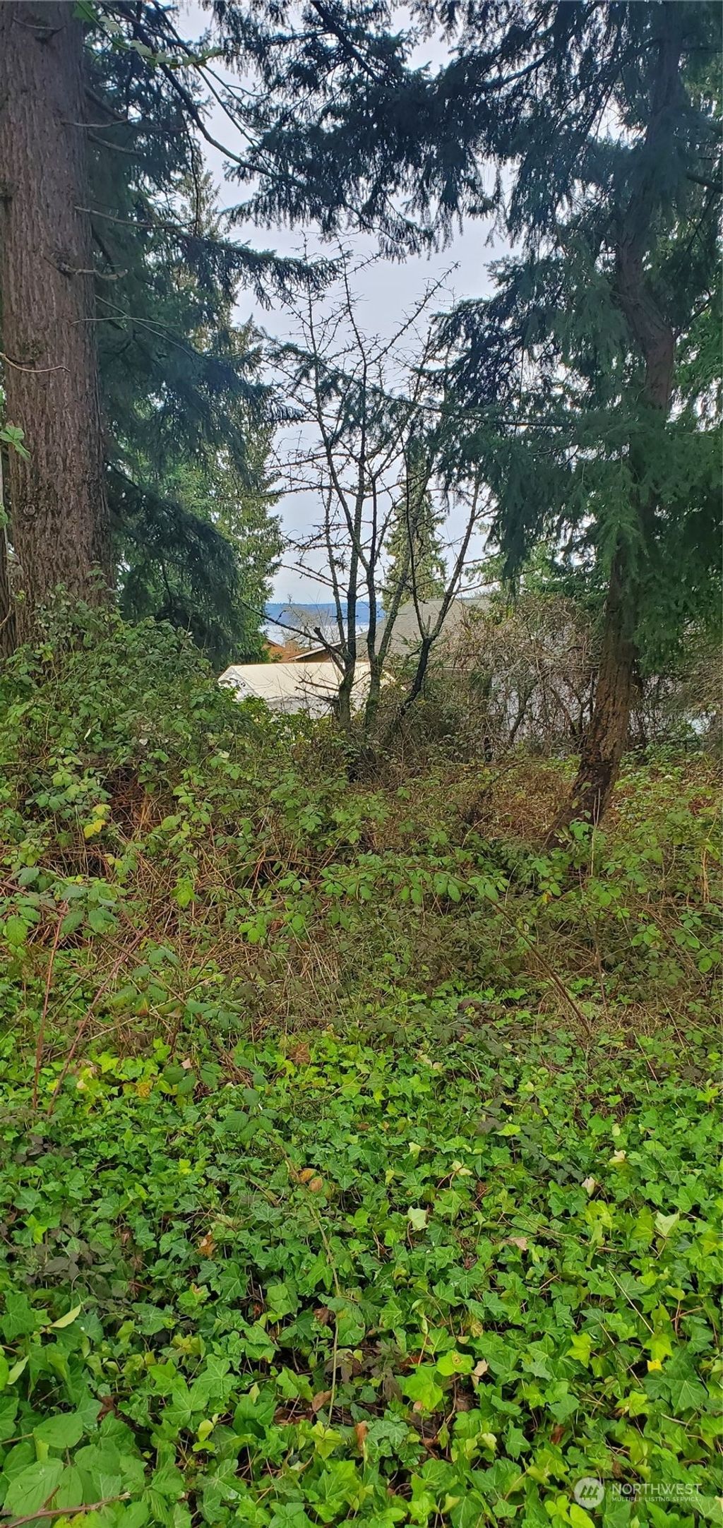 Photo of 1259 SW 301st Street, Federal Way, WA 98023 (MLS # 2195762)