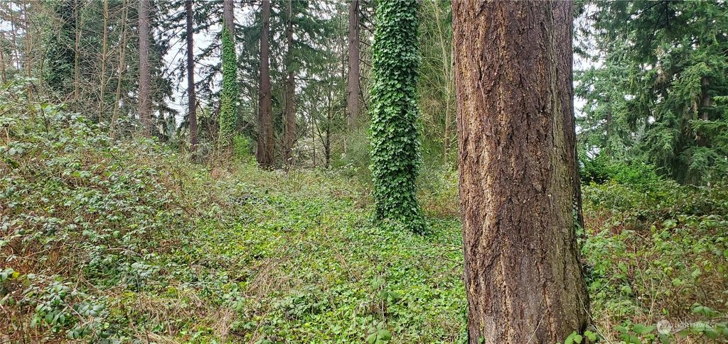 Photo of 1259 SW 301st Street, Federal Way, WA 98023 (MLS # 2195762)