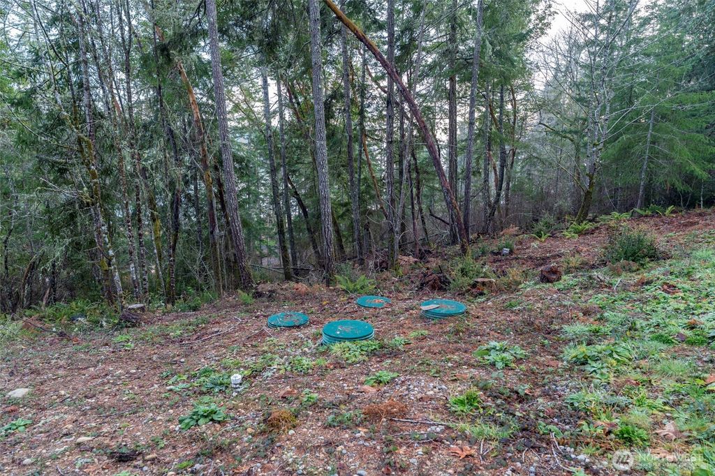 Photo of 11515 189 Avenue NW, Gig Harbor, WA 98329 (MLS # 2472719)