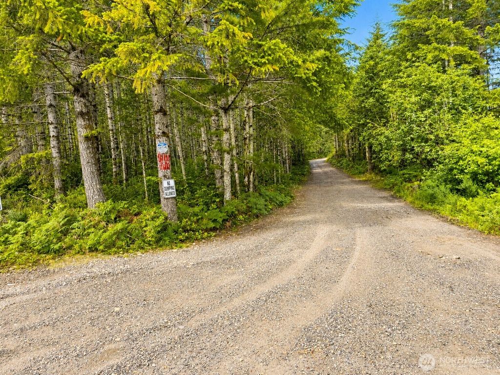 Photo of 11170 NE Shoe Lake Road, Tahuya, WA 98588 (MLS # 2530352)