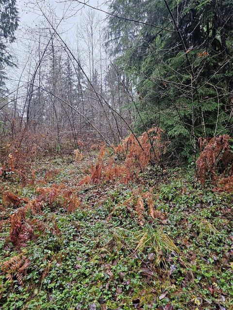 15310 330th Way NE, Duvall, WA 98019 - MLS#: 2329381