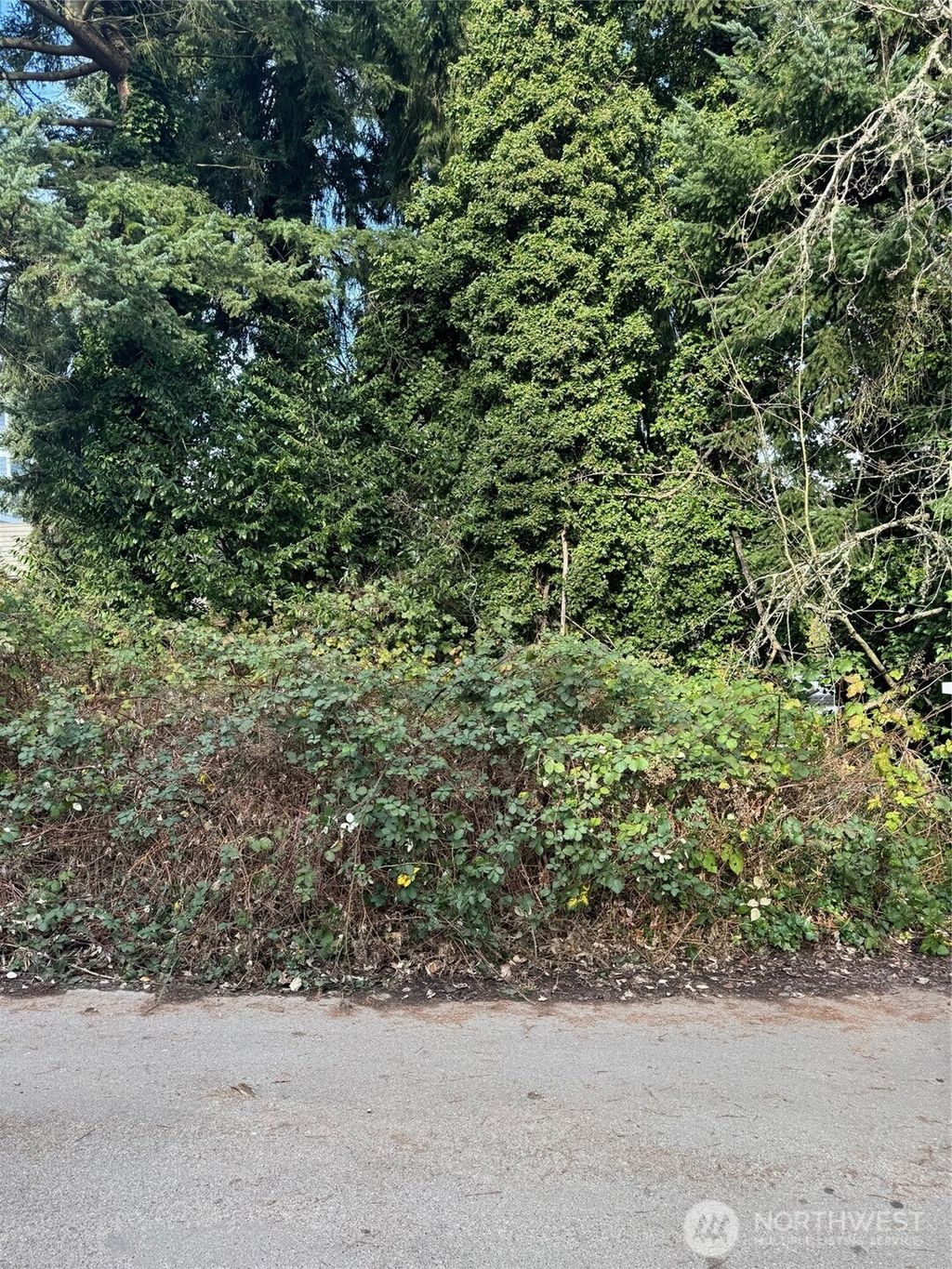 Photo of 845 NW 95th Street, Seattle, WA 98117 (MLS # 2470174)