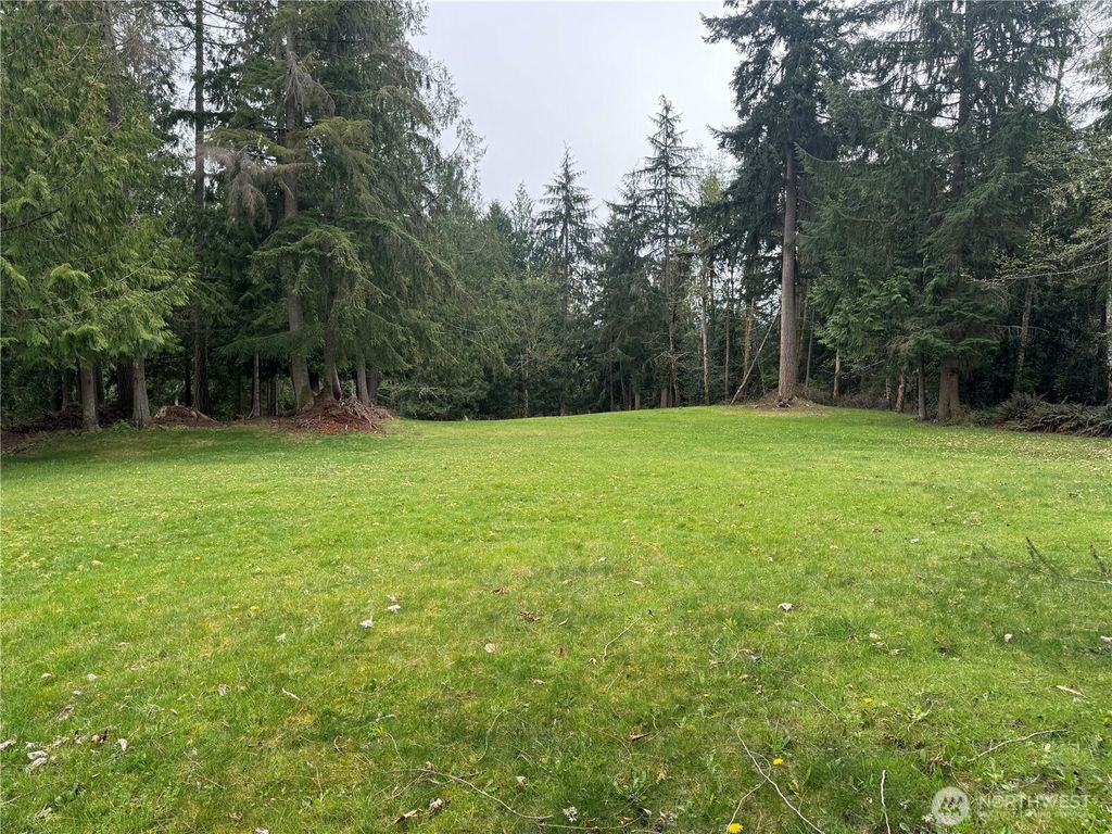 Photo of 0 163rd Street E, Wilkeson, WA 98396 (MLS # 2510844)