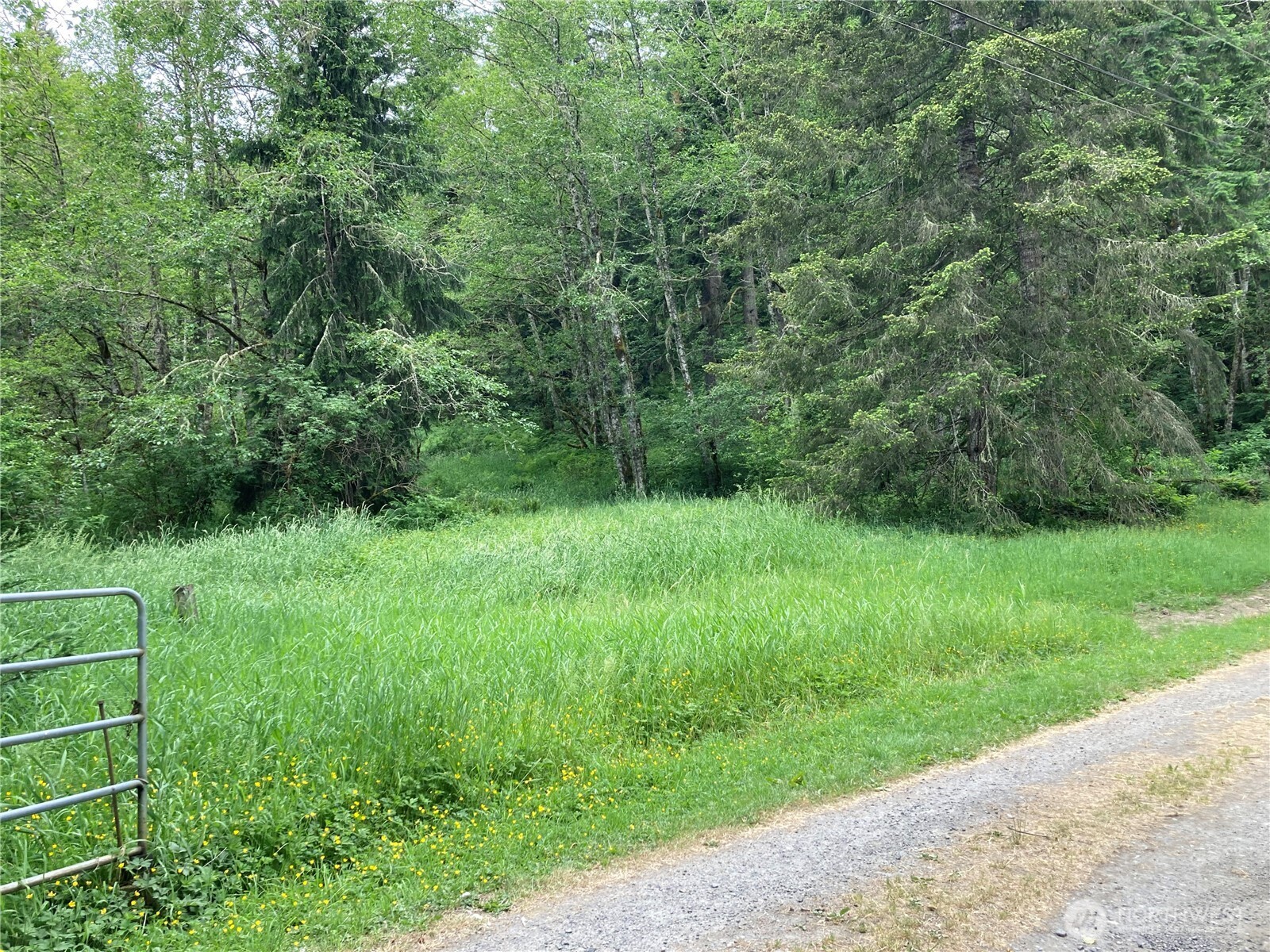 0 Eatonville Elbe Forest Rd E