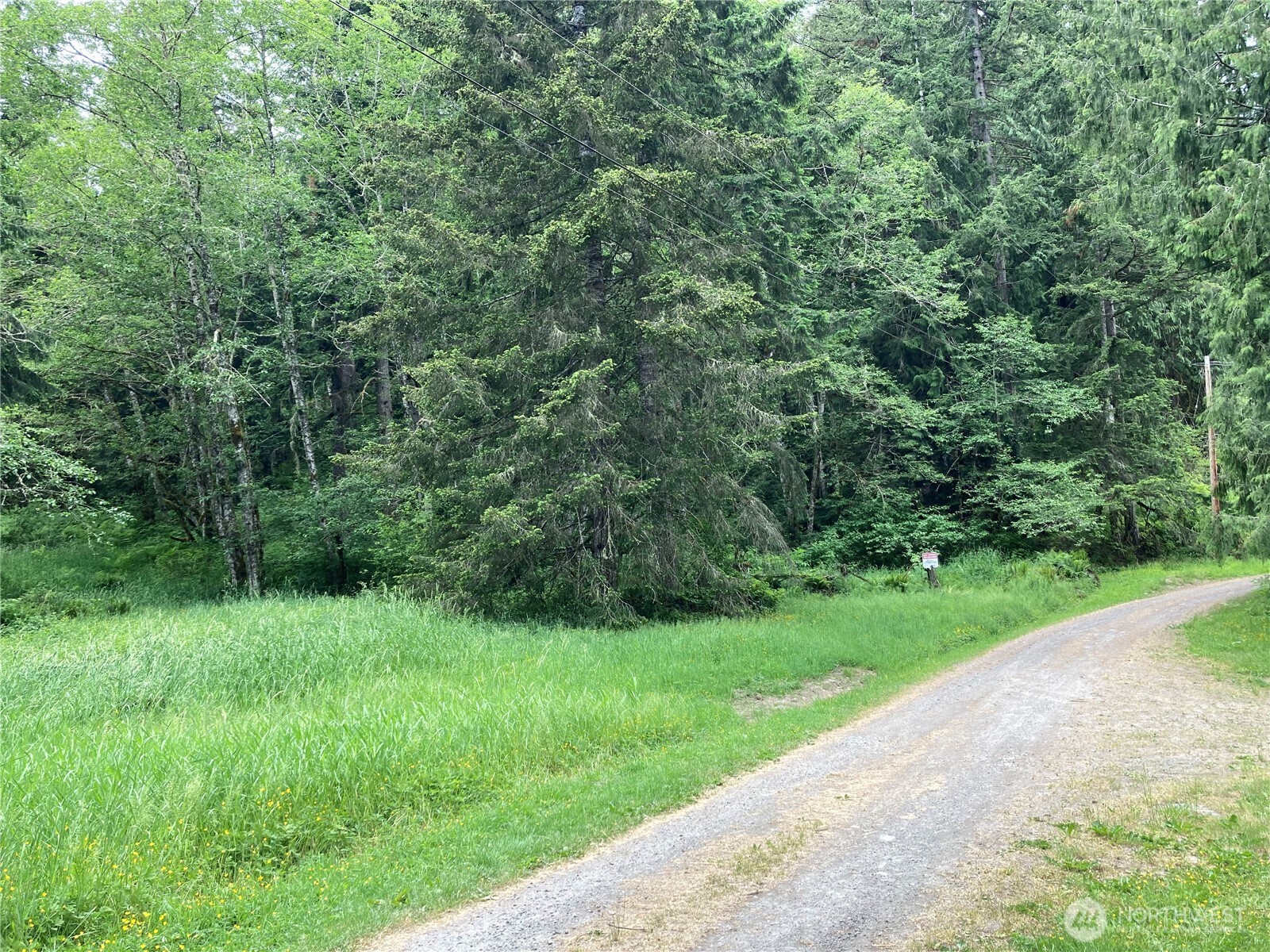 0 Eatonville Elbe Forest Rd E