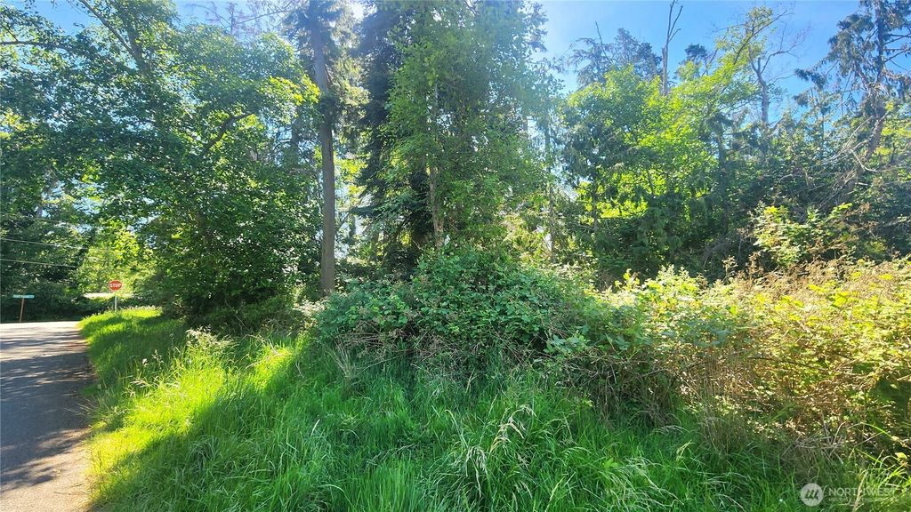Photo of 0 NHN S Harbor View Drive, Langley, WA 98260 (MLS # 2528072)