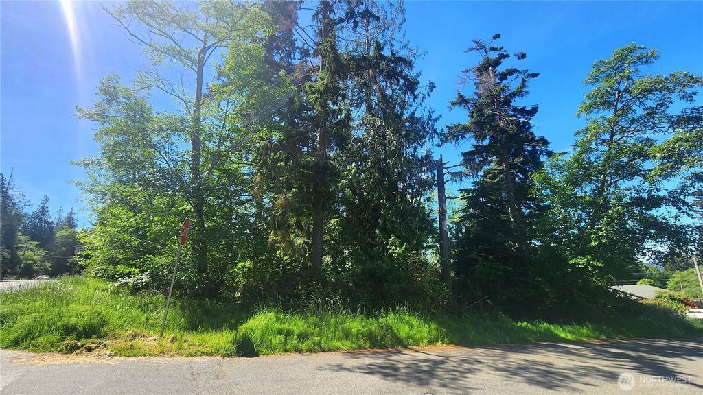 Photo of 0 NHN S Harbor View Drive, Langley, WA 98260 (MLS # 2528072)