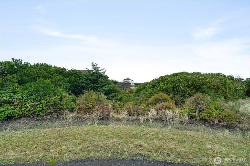 Photo of 1134 Vernonia Court, Ocean Shores, WA 98569 (MLS # 2460814)