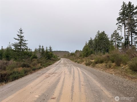 Photo of 1 XX West California Road, Shelton, WA 98584 (MLS # 2467510)