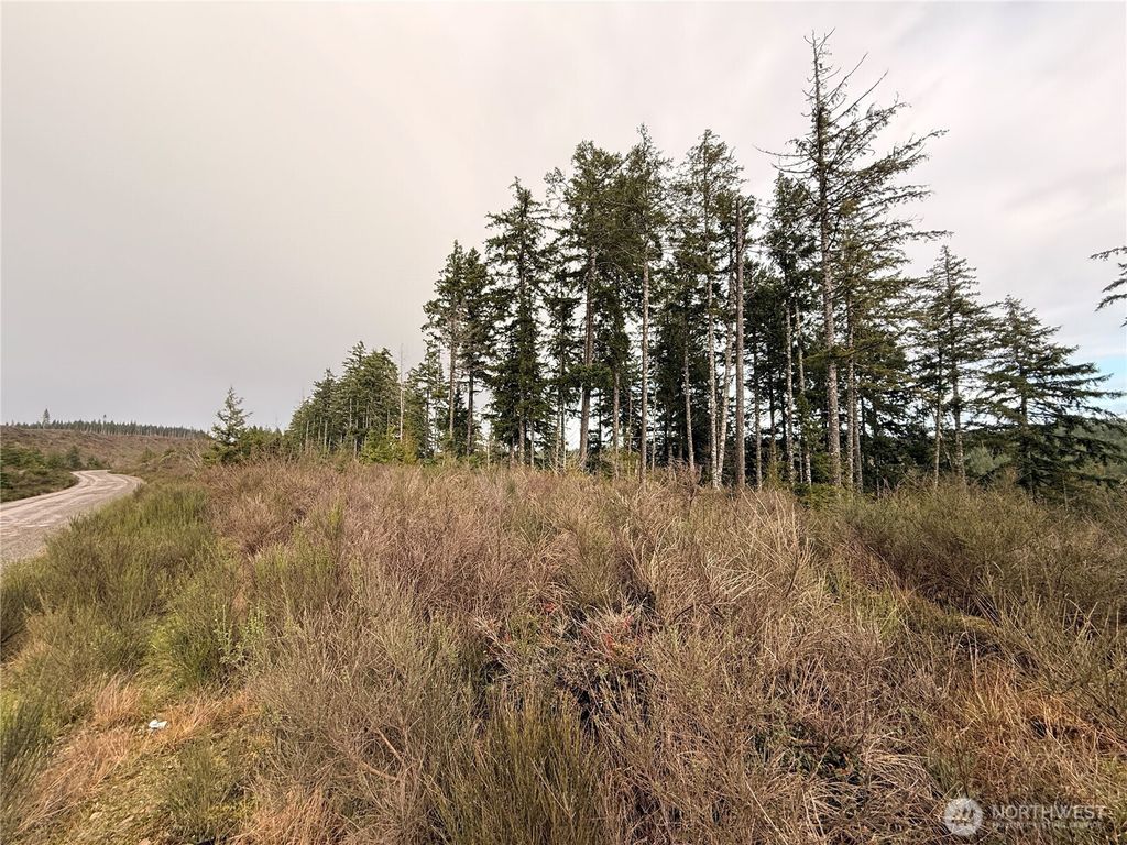 Photo of 1 XX West California Road, Shelton, WA 98584 (MLS # 2467510)