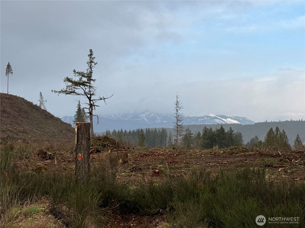 Photo of 1 XX West California Road, Shelton, WA 98584 (MLS # 2467510)