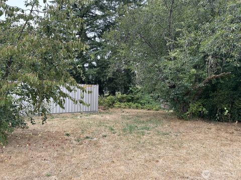 0 Pioneer Avenue Castle Rock WA 98611