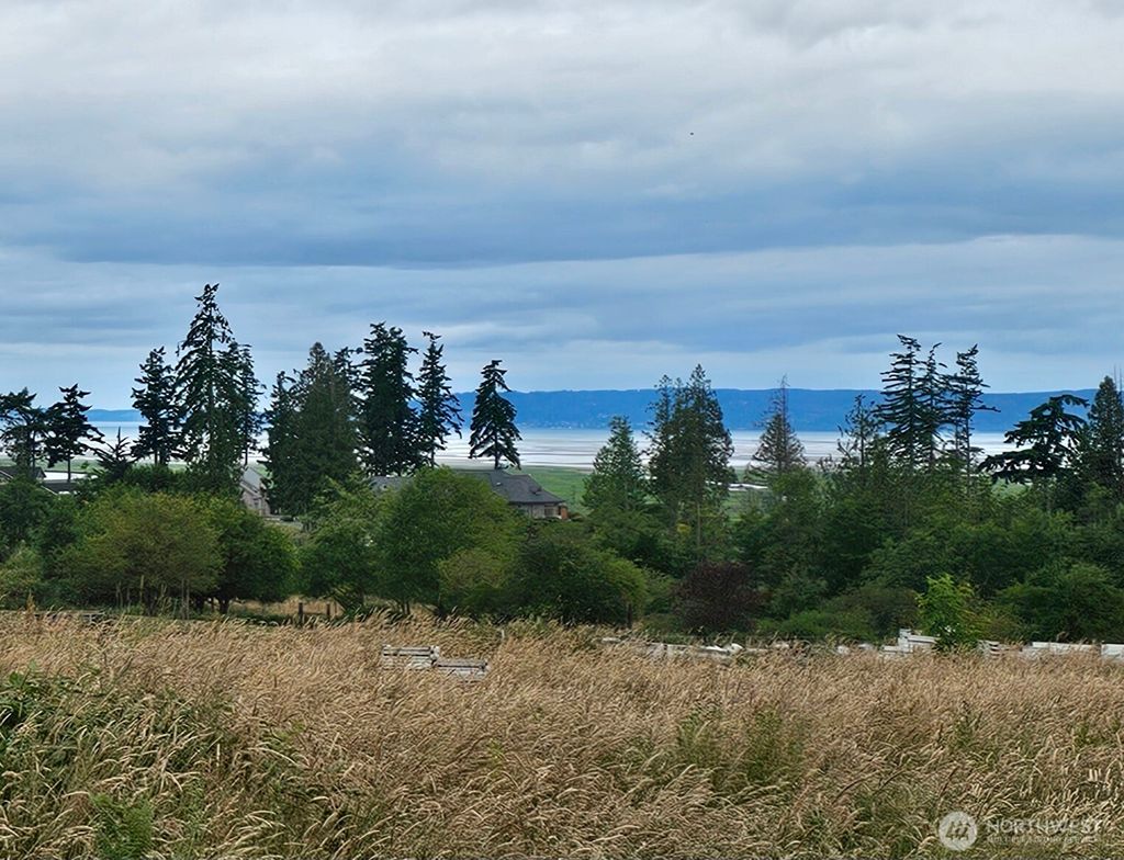 Photo of 18524 Swanson Lane, Stanwood, WA 98292 (MLS # 2400284)