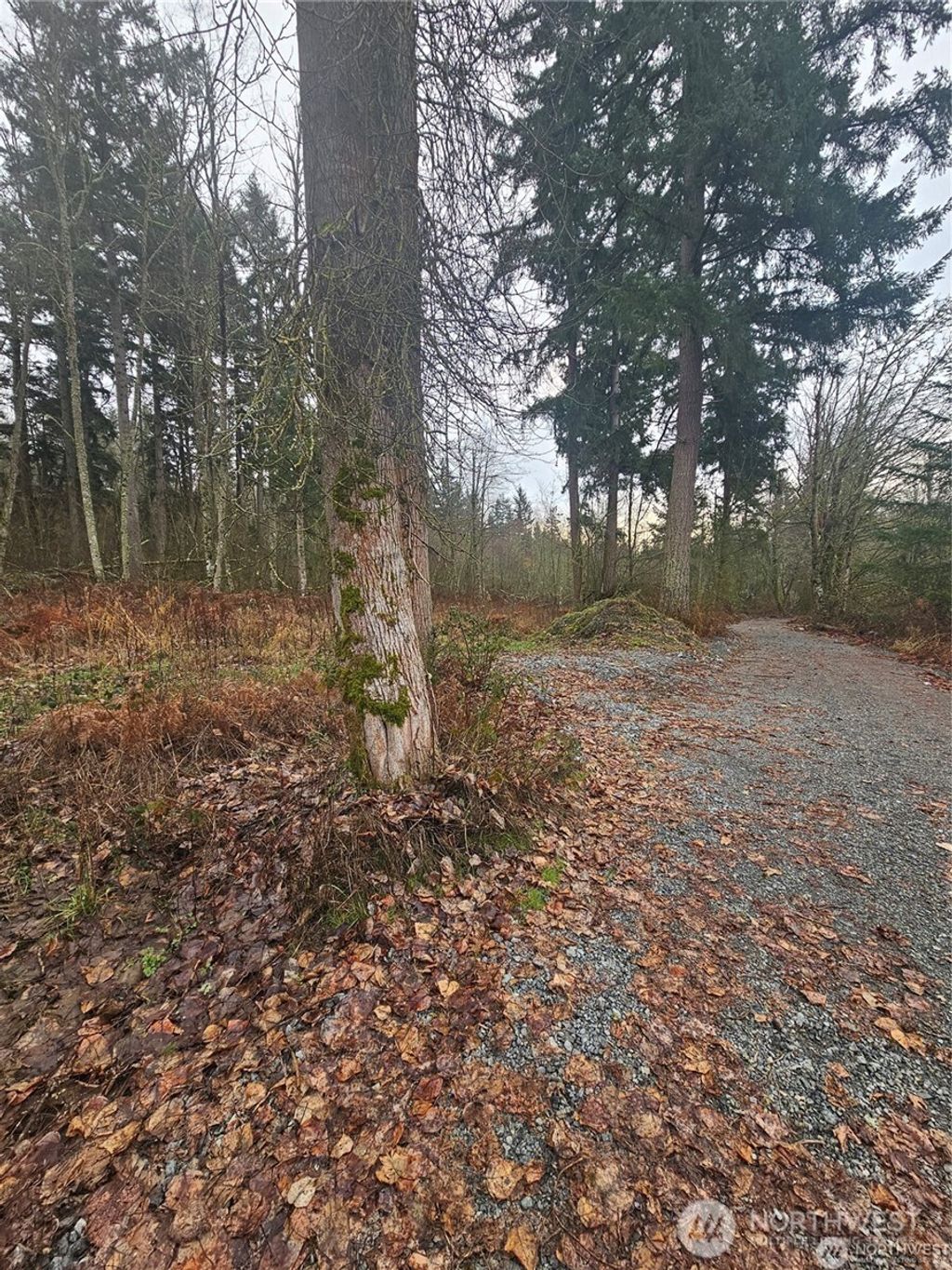 Photo of 25905 96th Avenue E, Graham, WA 98338 (MLS # 2490646)