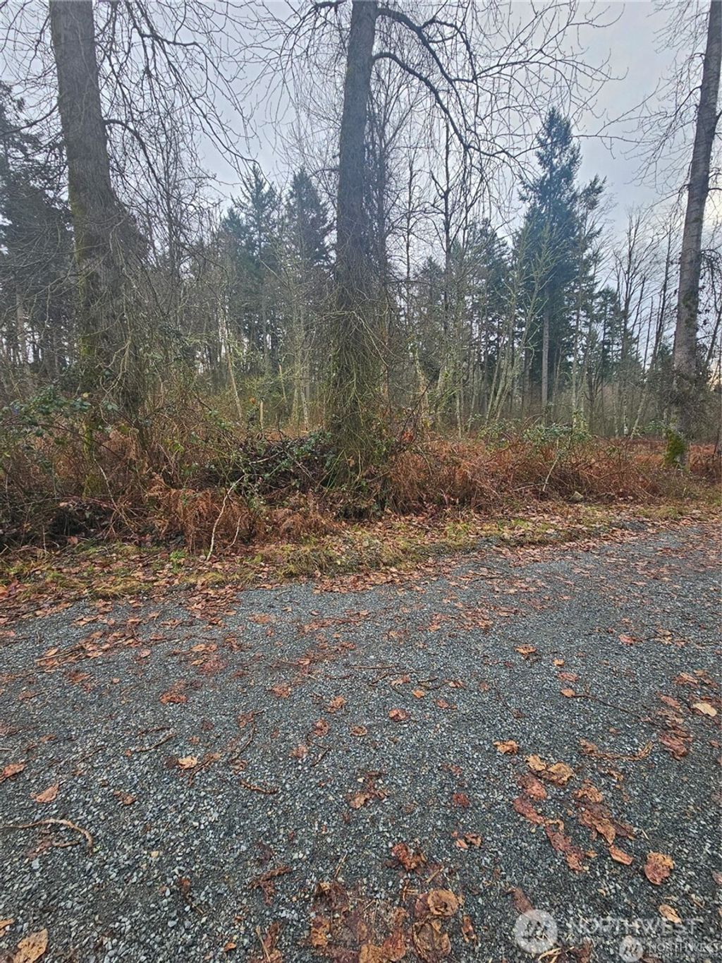 Photo of 25905 96th Avenue E, Graham, WA 98338 (MLS # 2490646)