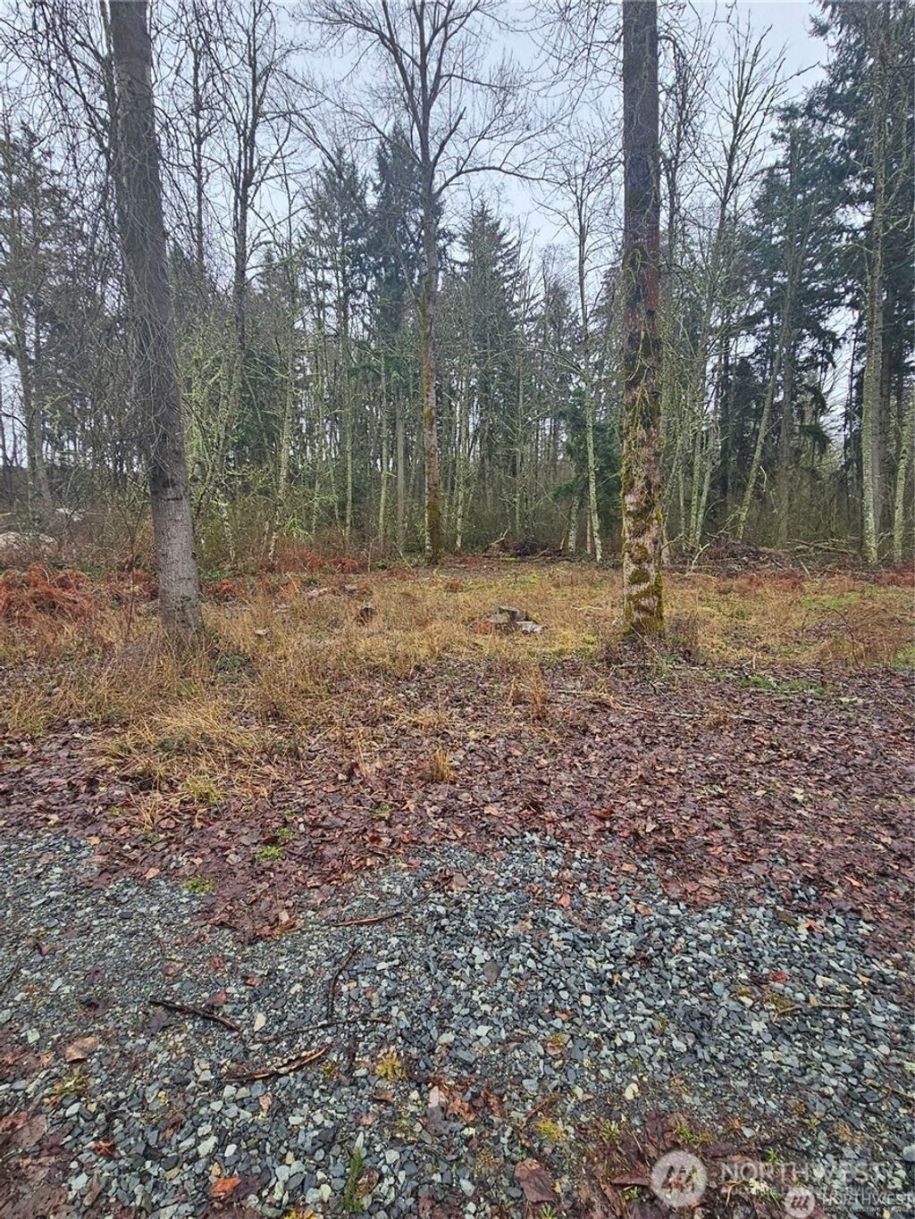 Photo of 25905 96th Avenue E, Graham, WA 98338 (MLS # 2490646)