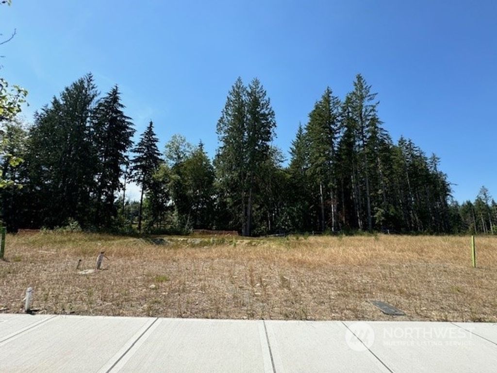 Photo of 23802 Site 182 SE Sequoia Street, Black Diamond, WA 98010 (MLS # 2271262)