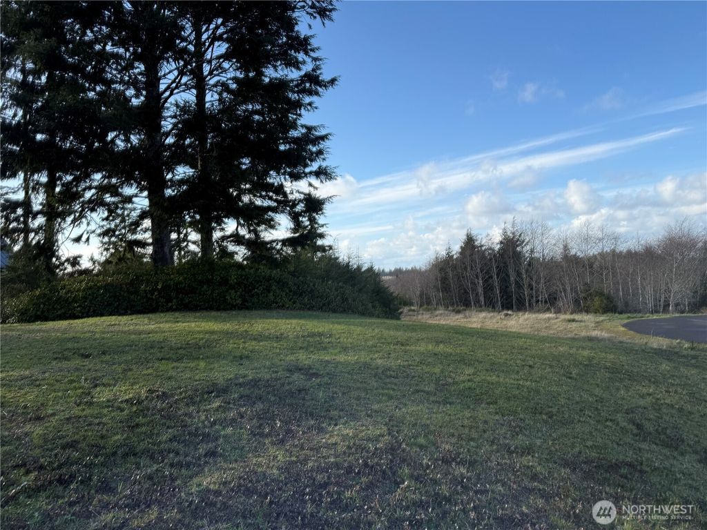 Photo of 0 Lighthousekeepers Road, Ilwaco, WA 98624 (MLS # 2488388)