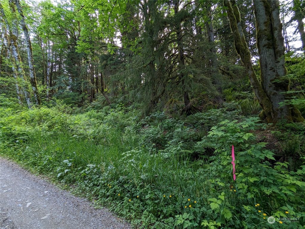 Photo of 0 Wits End Place, Index, WA 98256 (MLS # 2072127)