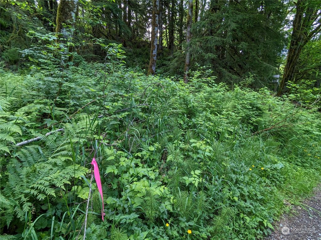 Photo of 0 Wits End Place, Index, WA 98256 (MLS # 2072127)