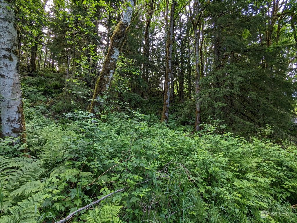 Photo of 0 Wits End Place, Index, WA 98256 (MLS # 2072127)