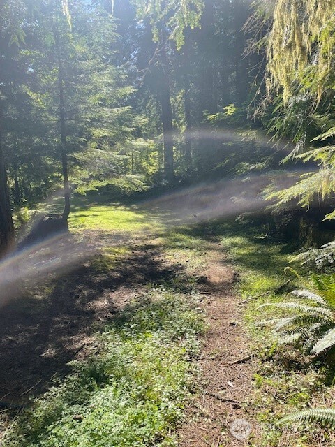 1001 N Potlatch Drive