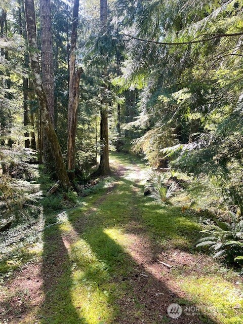 1001 N Potlatch Drive