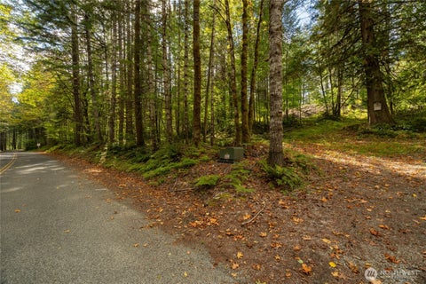 Photo of 350 Craig Road, Packwood, WA 98361 (MLS # 2586954)