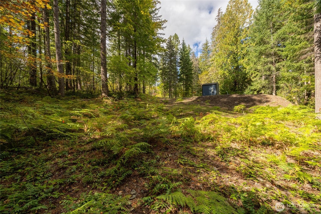 Photo of 350 Craig Road, Packwood, WA 98361 (MLS # 2586954)