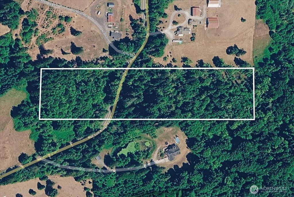 Photo of 0 NE Yale Bridge Road, Amboy, WA 98601 (MLS # 2517770)