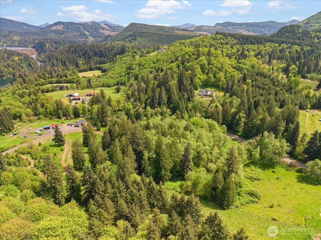 Photo of 0 NE Yale Bridge Road, Amboy, WA 98601 (MLS # 2517770)
