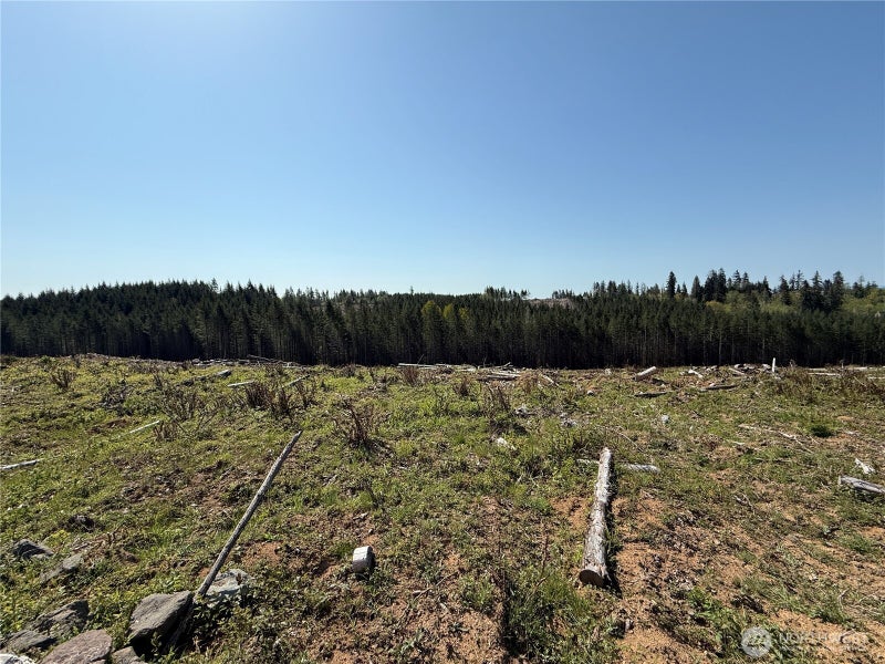 7 Centralia Alpha Road