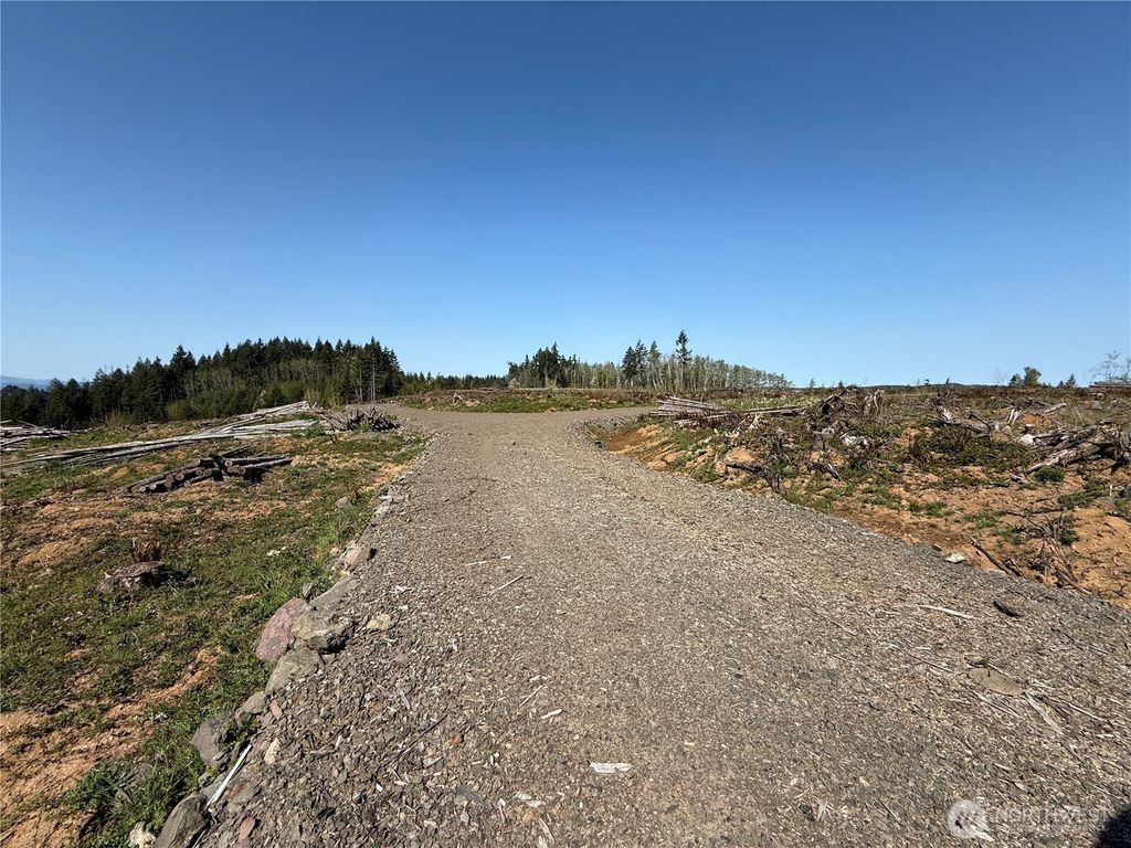 Photo of 7 xx Centralia Alpha Road, Chehalis, WA 98532 (MLS # 2506980)