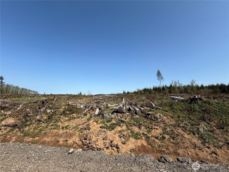 7 Centralia Alpha Road