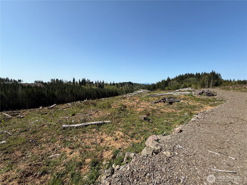 7 Centralia Alpha Road