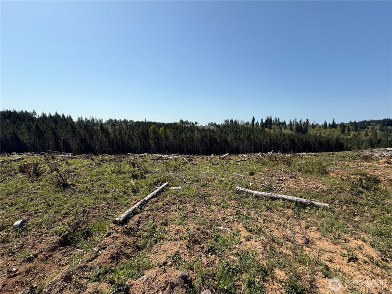 7 Centralia Alpha Road