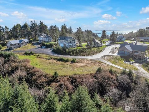 3038 Ocean View Court Ilwaco WA 98624