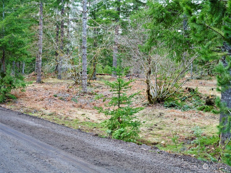 4 Loowit Lane