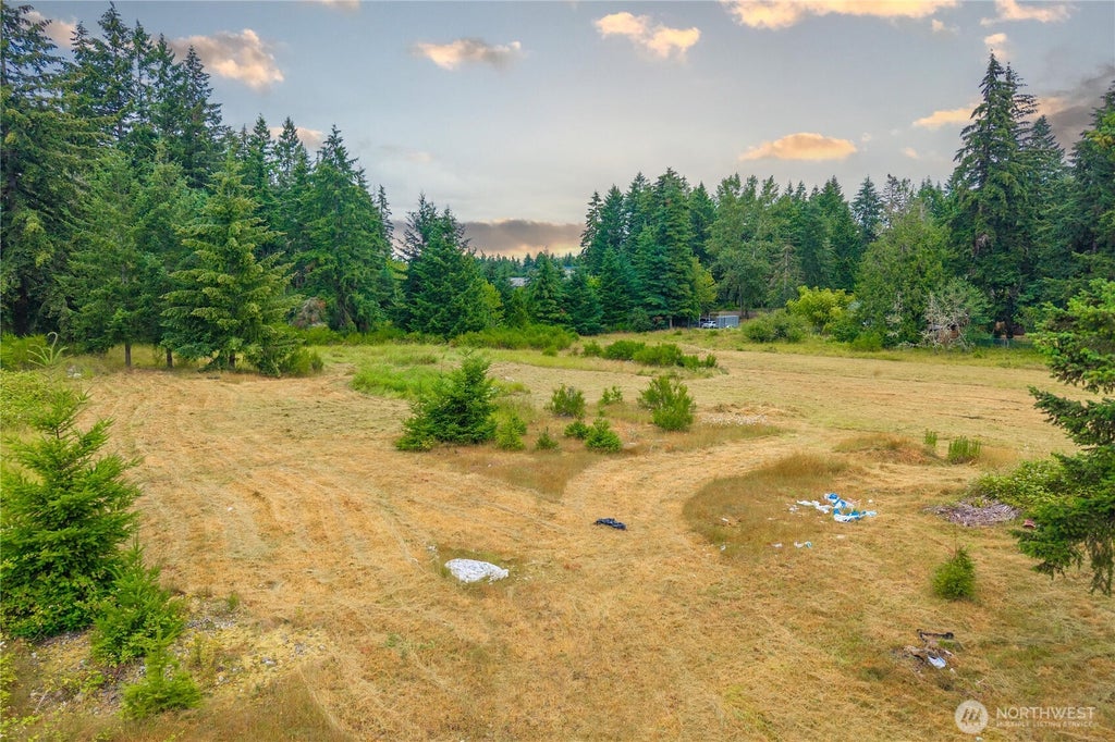 Photo of 18707 Rhodes Lake Road E, Bonney Lake, WA 98391 (MLS # 2551097)
