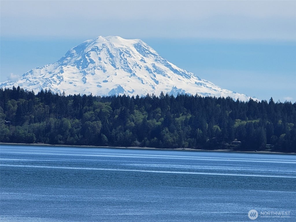 Photo of 561 E Rauschert Road, Grapeview, WA 98546 (MLS # 2582052)