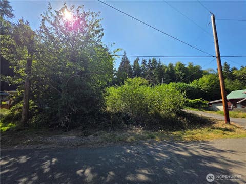 Photo of 929 Duffy St ST, Aberdeen, WA 98520 (MLS # 2567034)