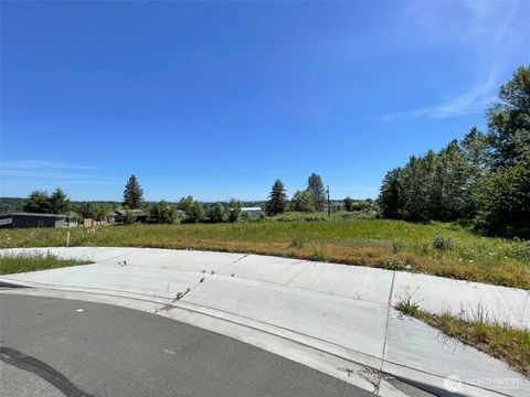 Photo of 862 Still Road, Sequim, WA 98382 (MLS # 2510571)