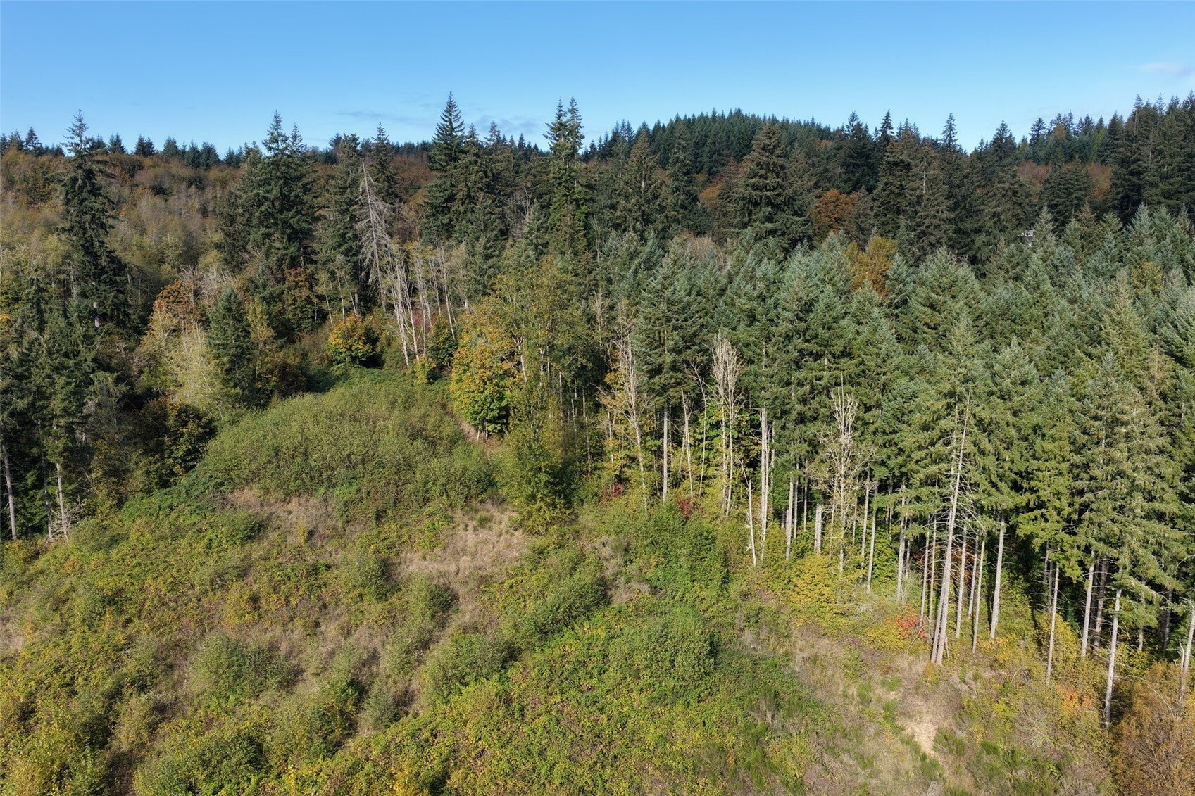0 NE Jenny Creek Road