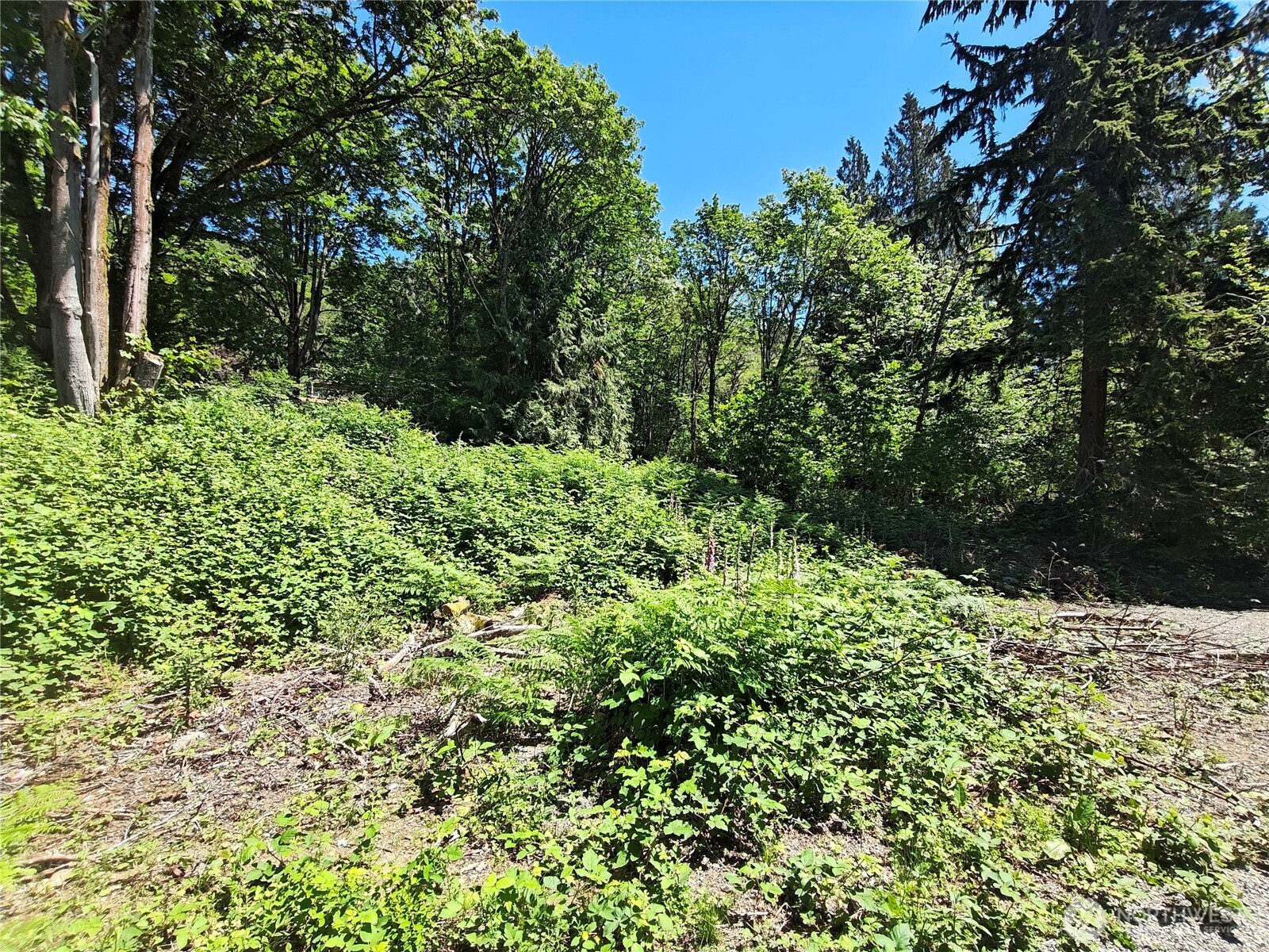 273 SE 164th Street