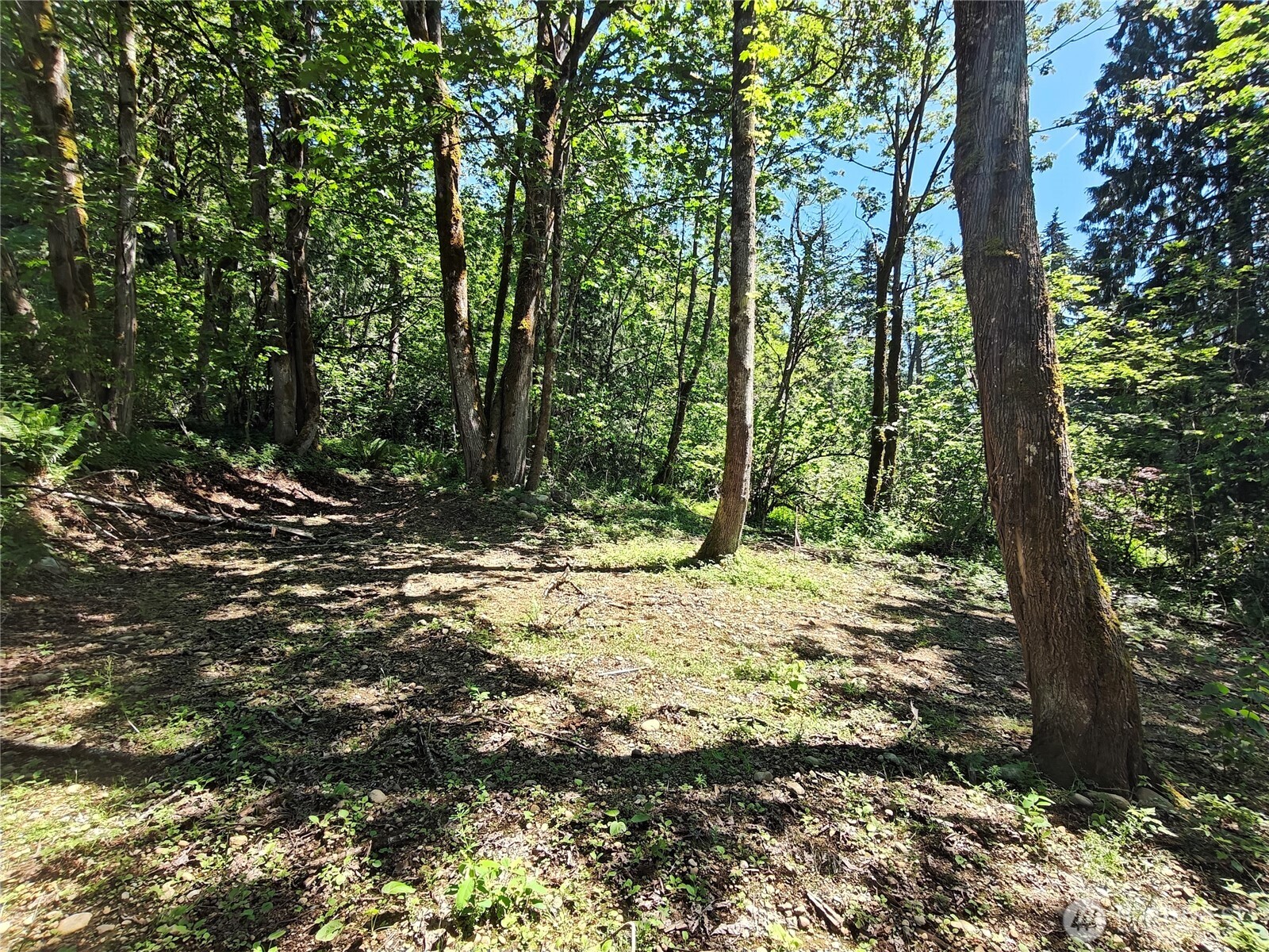 273 SE 164th Street
