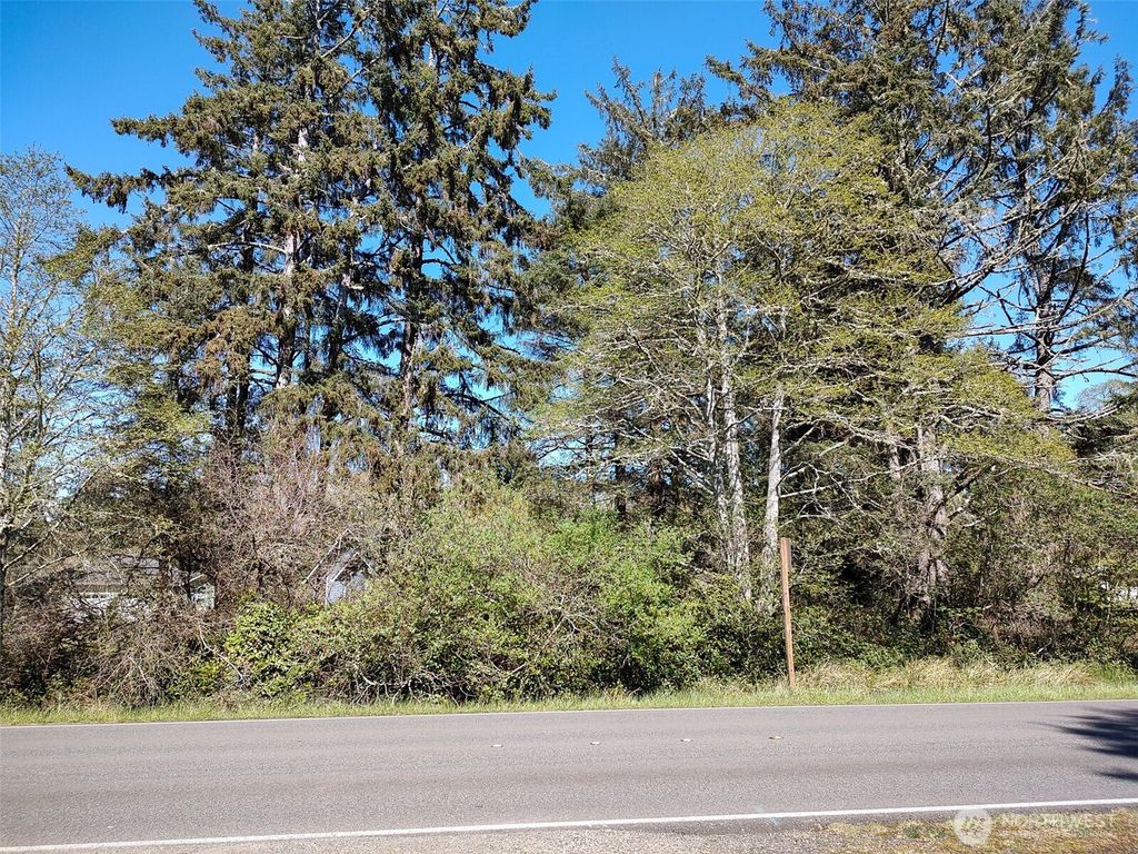 Photo of 374 Mt Olympus Avenue SE, Ocean Shores, WA 98569 (MLS # 2508282)