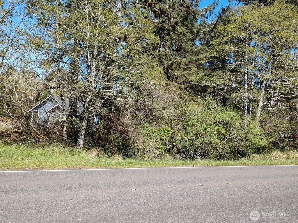 Photo of 374 Mt Olympus Avenue SE, Ocean Shores, WA 98569 (MLS # 2508282)