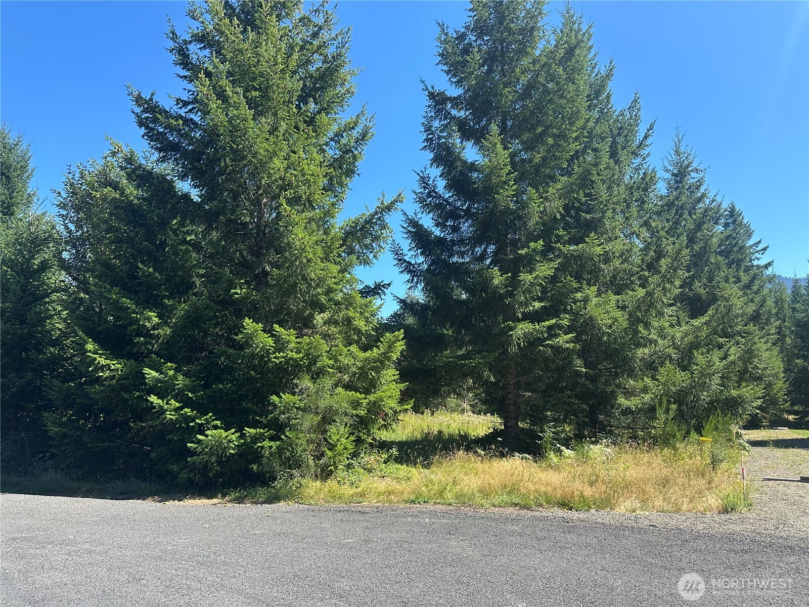 109 Jack Fir Court W