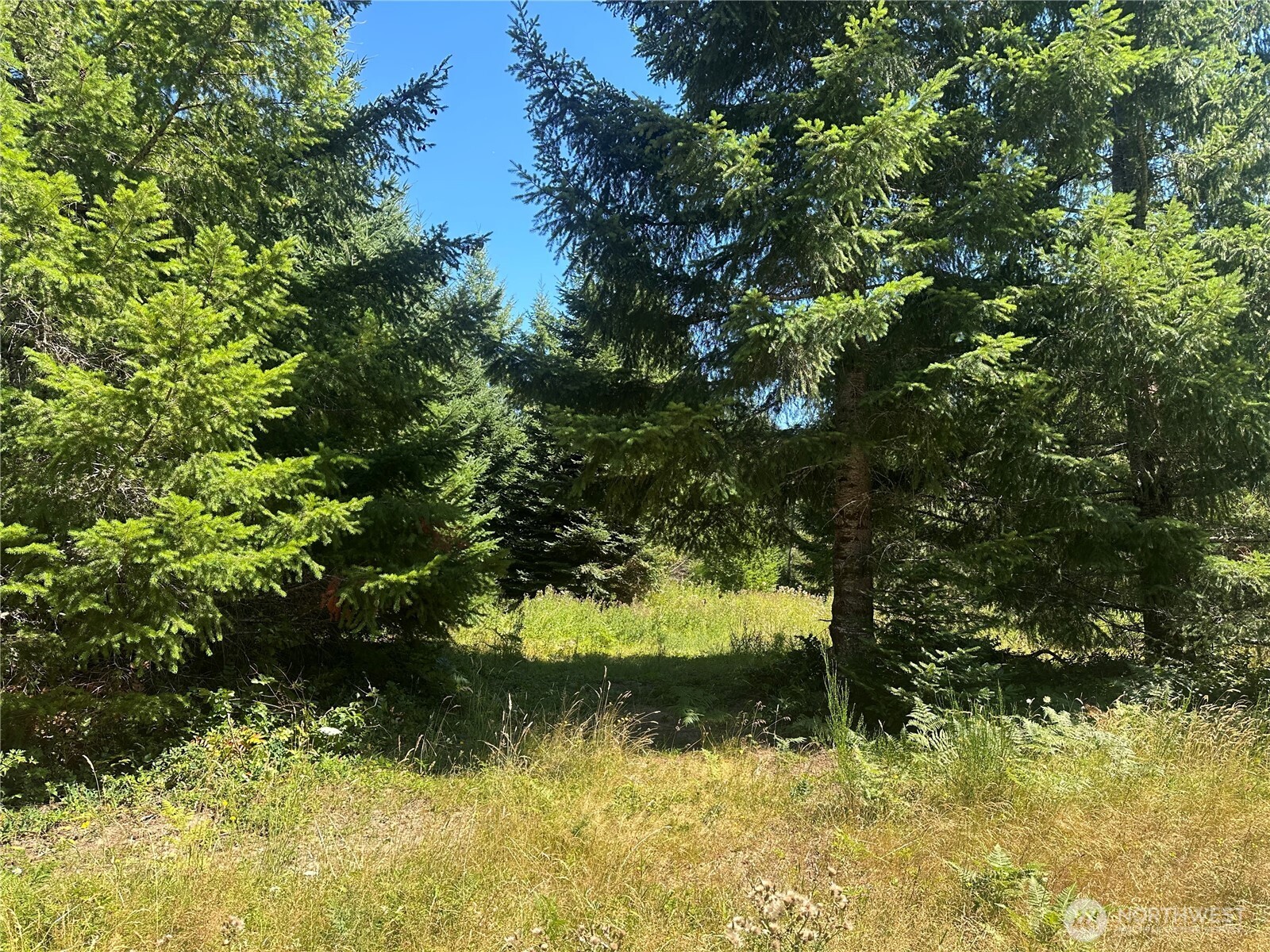 109 Jack Fir Court W