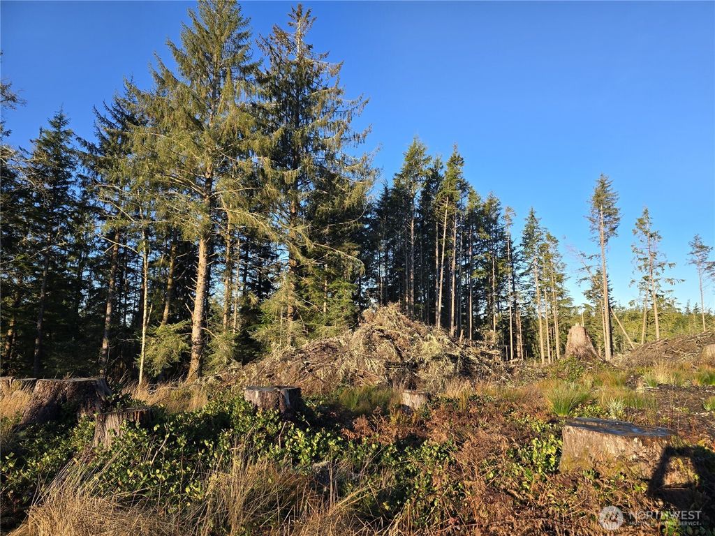 Photo of 2753 State Route 101, Ilwaco, WA 98624 (MLS # 2471103)